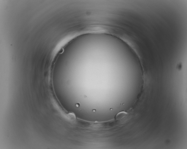 X0000114141477200910151557