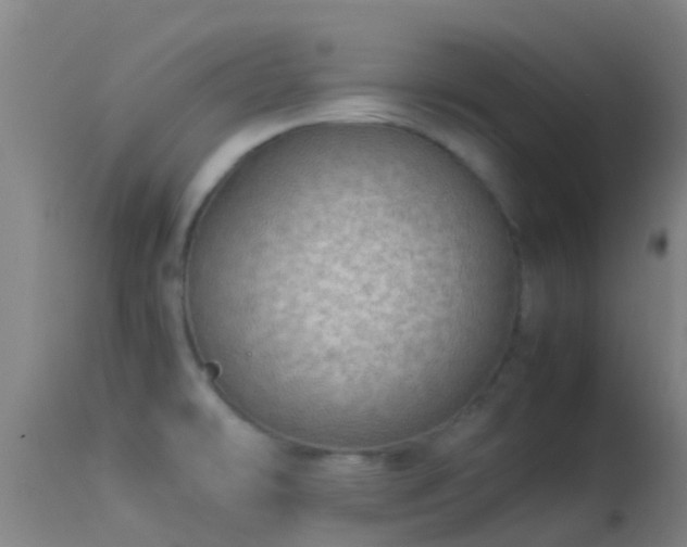 X0000114141478200910151557