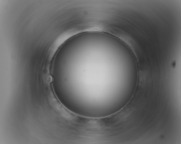 X0000114141480200910151557