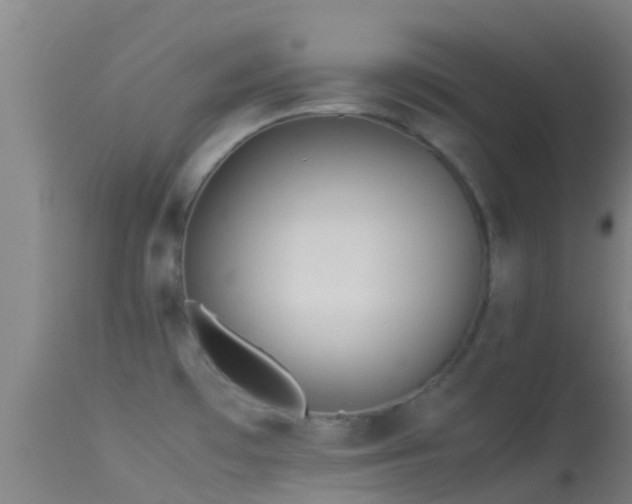 X0000114141481200910151557