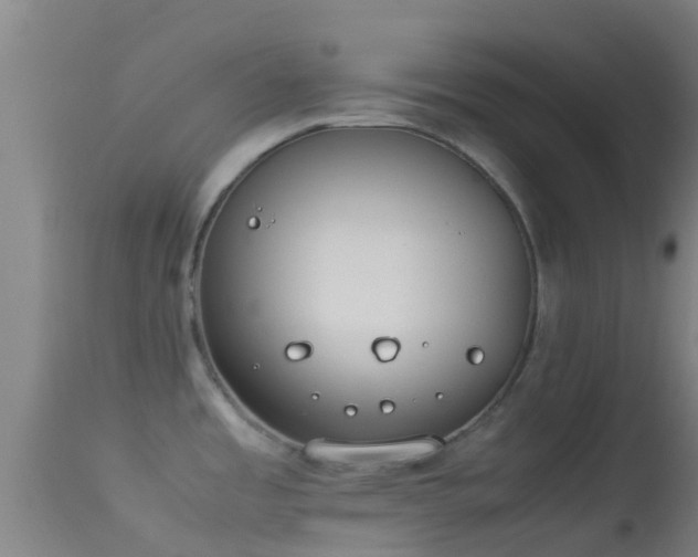 X0000114141485200910151557