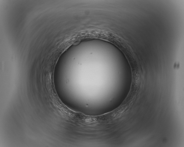 X0000114141489200910151556