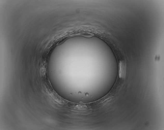 X0000114141491200910151556