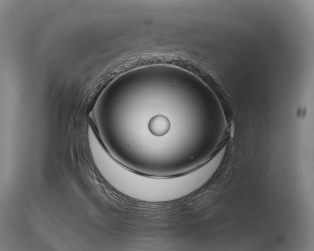 X0000114141492200910151556