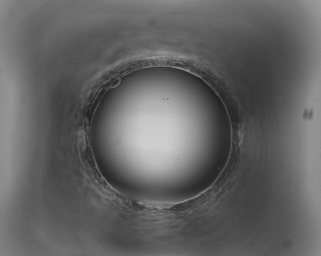 X0000114141493200910151556