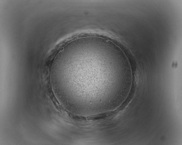 X0000114141494200910151556