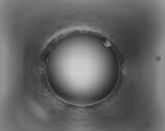 X0000114141495200910151556