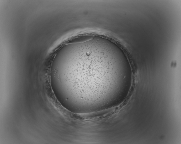 X0000114141496200910151556