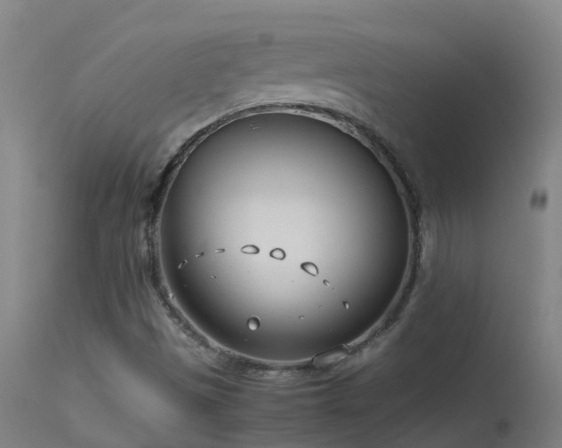 X0000114141497200910151556