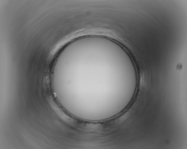 X0000114141498200910151556