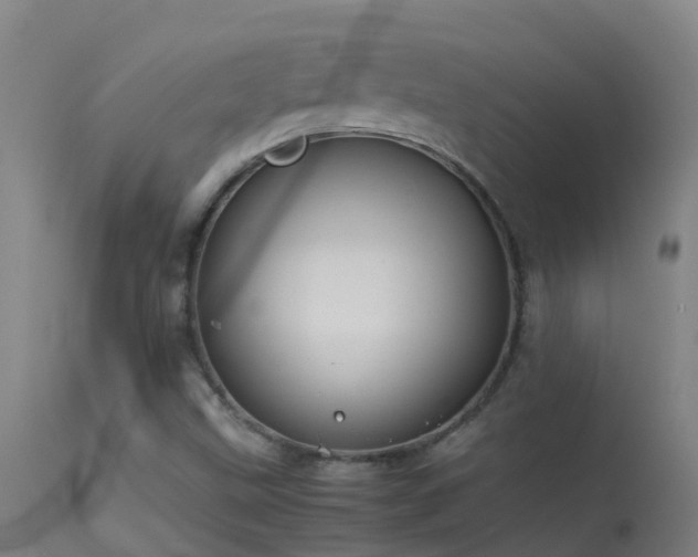 X0000114141499200910151556