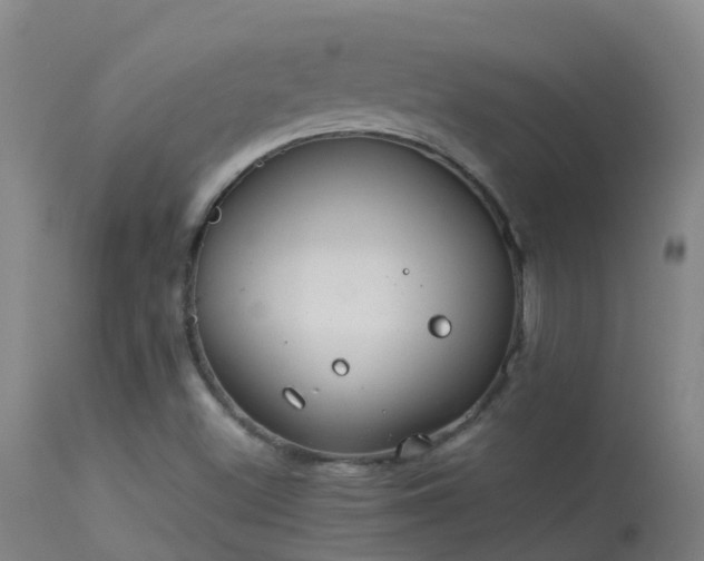 X0000114141500200910151556