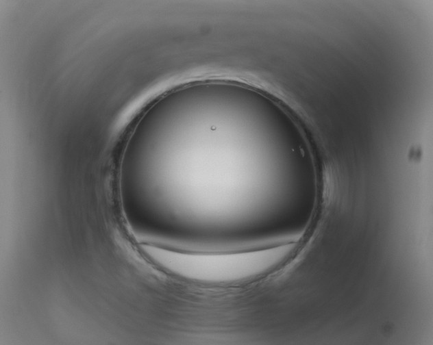 X0000114141502200910151556