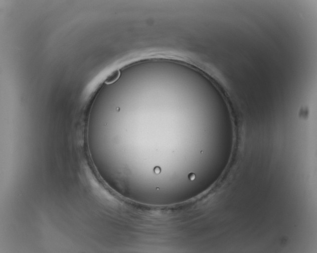 X0000114141504200910151556