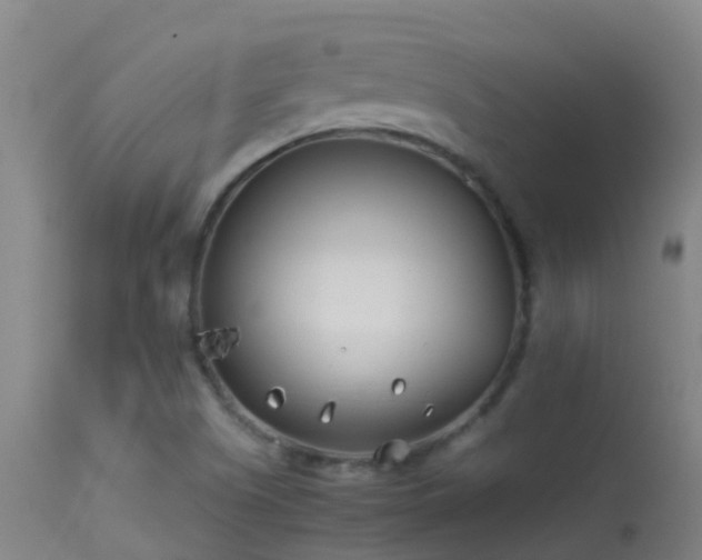 X0000114141505200910151556