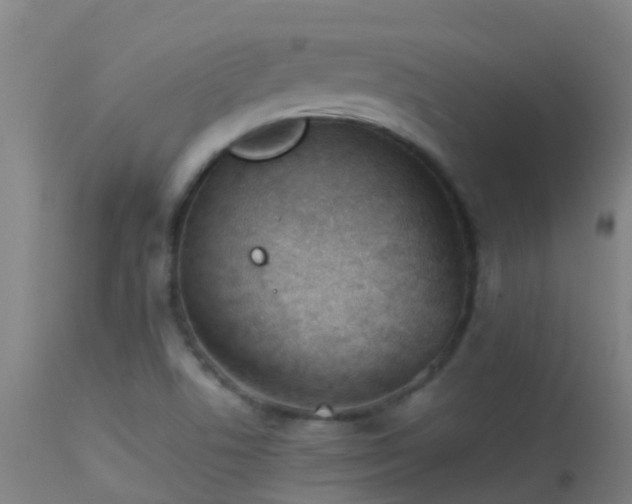 X0000114141506200910151556