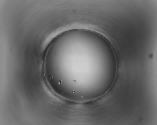 X0000114141507200910151556