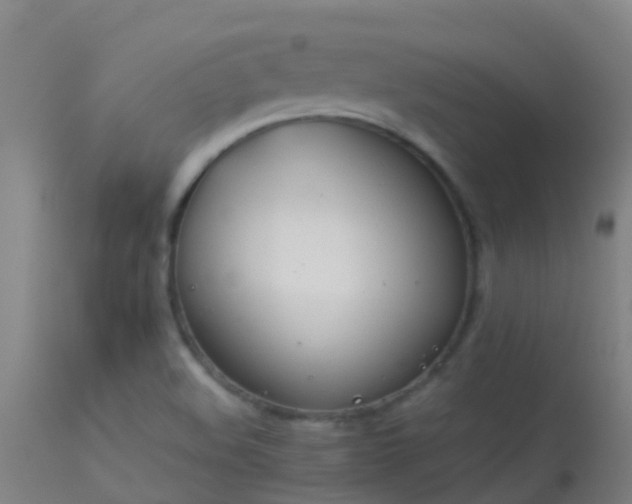 X0000114141508200910151556