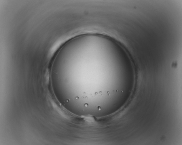 X0000114141509200910151556