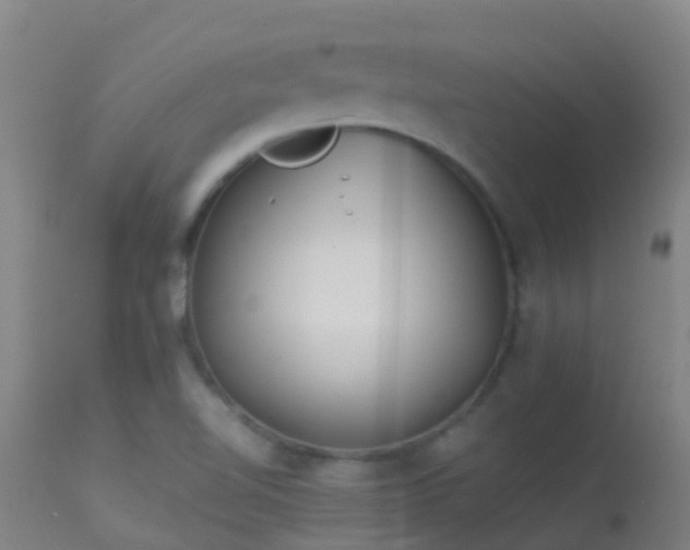 X0000114141510200910151556