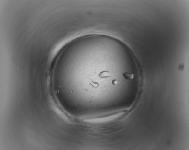 X0000114141511200910151556