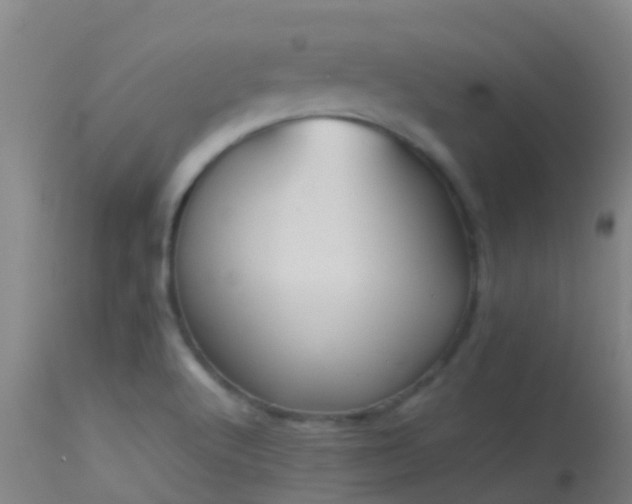 X0000114141512200910151556