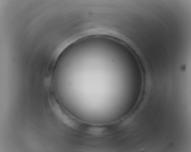 X0000114141513200910151556