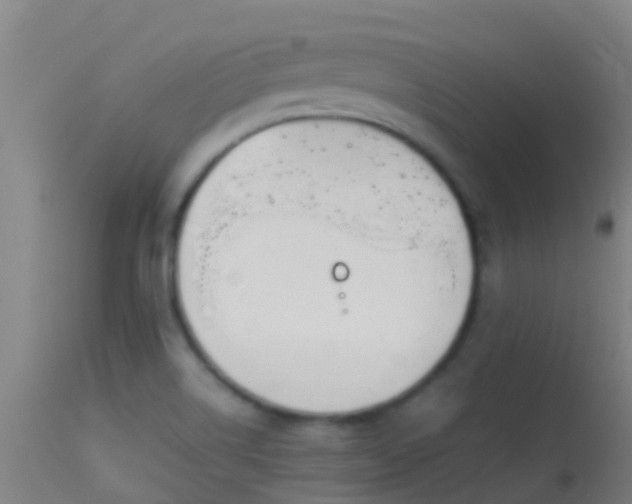 X0000114141514200910151556