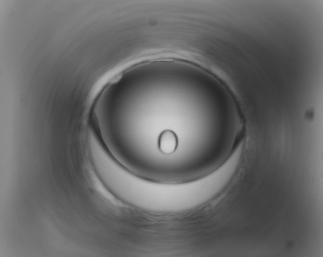 X0000114141516200910151556