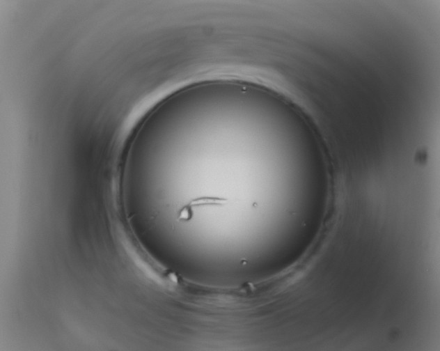 X0000114141517200910151556