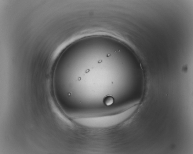 X0000114141518200910151556