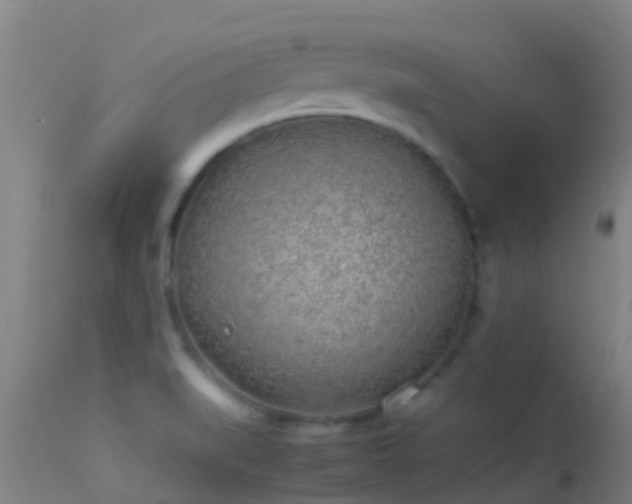 X0000114141519200910151556