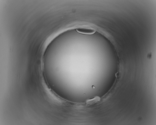 X0000114141520200910151556