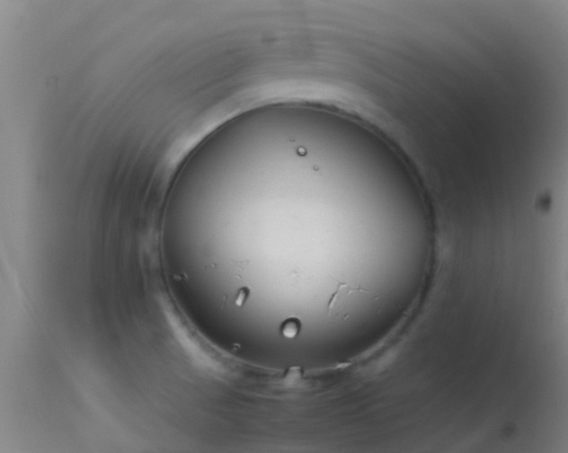 X0000114141521200910151556