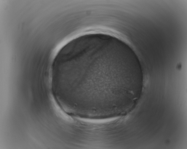 X0000114141522200910151556