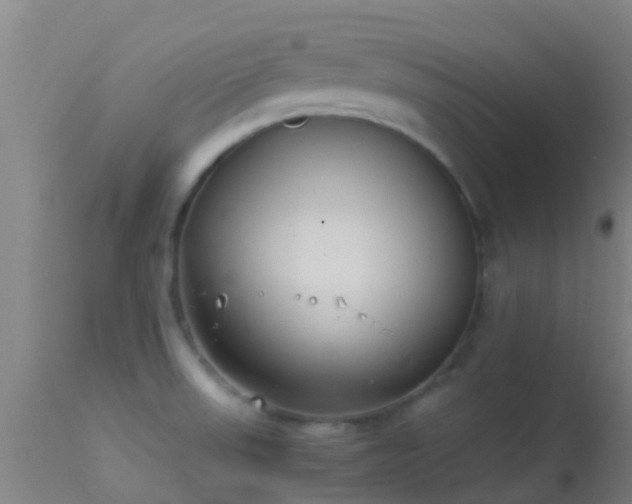 X0000114141523200910151556