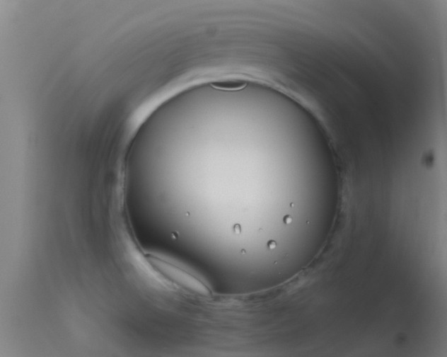 X0000114141524200910151556