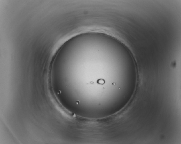 X0000114141525200910151556