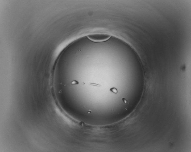 X0000114141527200910151557