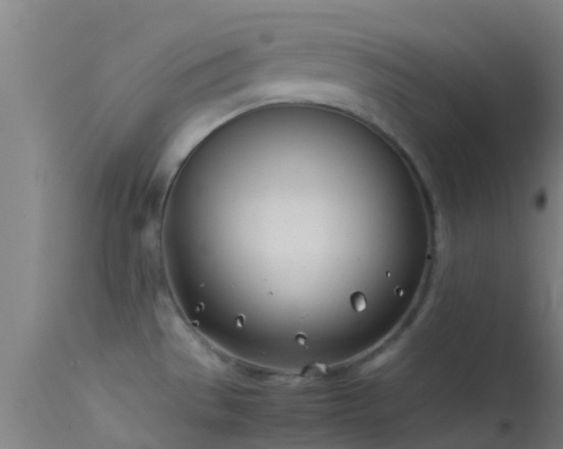 X0000114141529200910151557