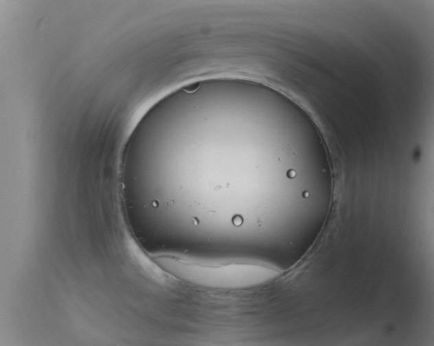 X0000114141532200910151557