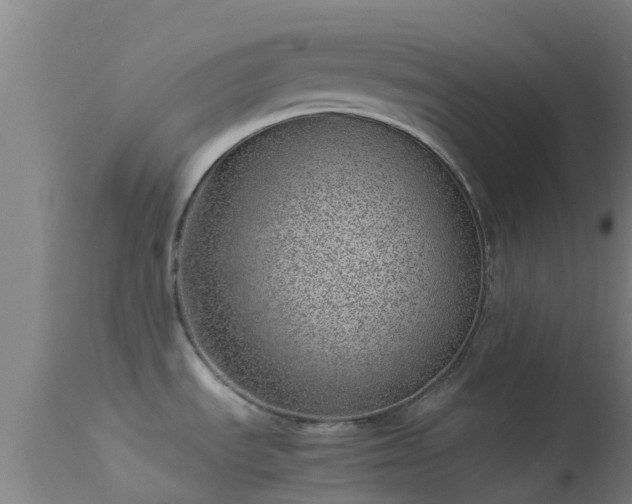 X0000114141535200910151557