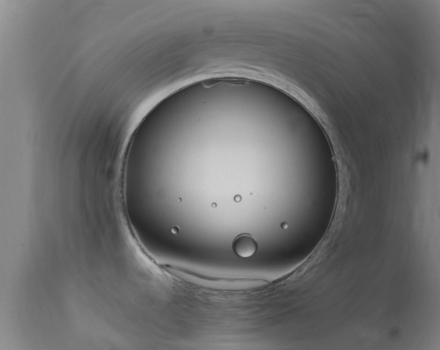 X0000114141536200910151557