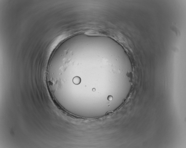 X0000114140003200910221535