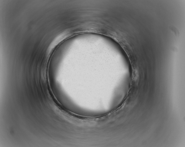 X0000114140004200910221535