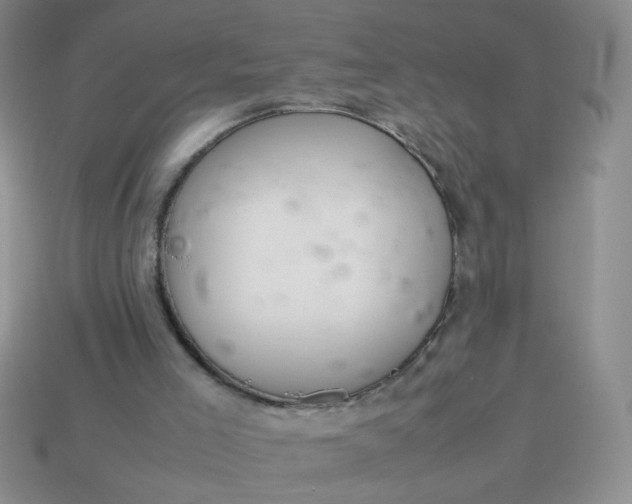 X0000114140005200910221535