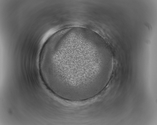 X0000114140006200910221535