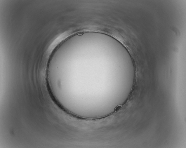 X0000114140007200910221535