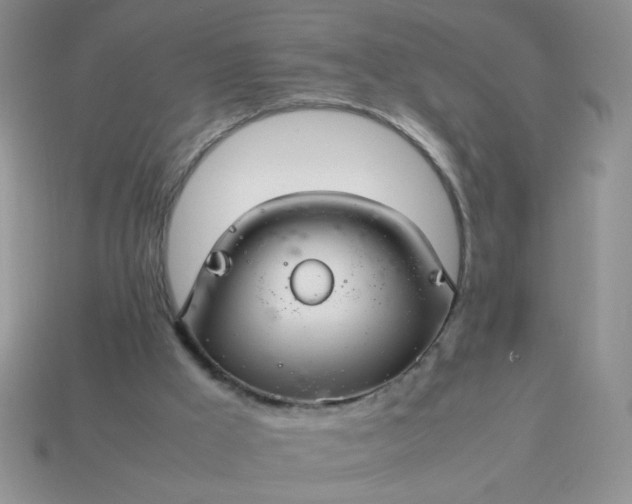 X0000114140009200910221535