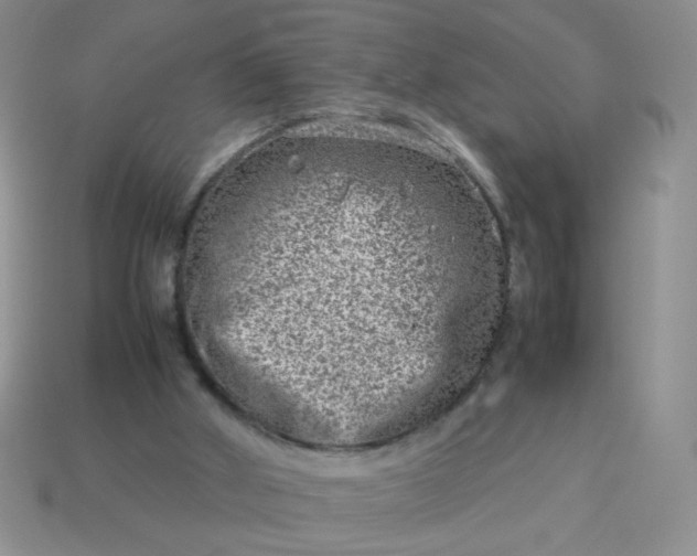 X0000114140010200910221535